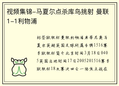 视频集锦-马夏尔点杀库鸟挑射 曼联1-1利物浦